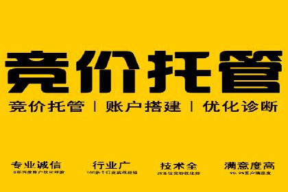 SEM服务公司助力企业国际化案例